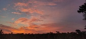 Enlarge photo 473