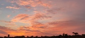 Enlarge photo 474