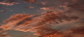 Enlarge photo 488