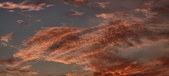 Enlarge photo 489