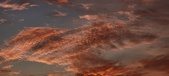 Enlarge photo 490