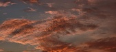 Enlarge photo 491