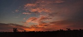 Enlarge photo 492