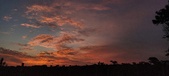 Enlarge photo 493
