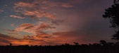Enlarge photo 494