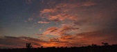 Enlarge photo 495
