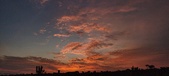 Enlarge photo 496