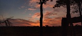 Enlarge photo 497