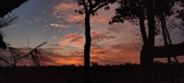 Enlarge photo 498