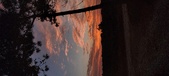 Enlarge photo 499