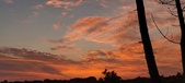 Enlarge photo 500