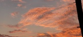 Enlarge photo 501