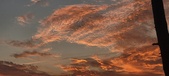Enlarge photo 502