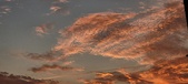 Enlarge photo 503