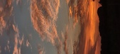 Enlarge photo 504