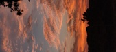 Enlarge photo 507