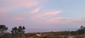 Enlarge photo 509
