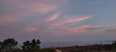 Enlarge photo 512
