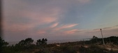 Enlarge photo 514