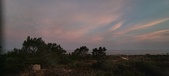 Enlarge photo 515