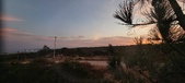 Enlarge photo 518