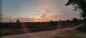 Enlarge photo 519
