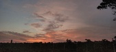 Enlarge photo 520