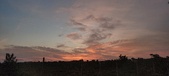 Enlarge photo 521