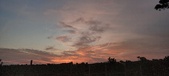 Enlarge photo 522