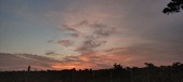 Enlarge photo 523