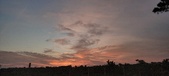 Enlarge photo 524