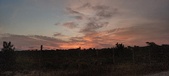 Enlarge photo 525