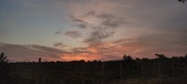 Enlarge photo 532