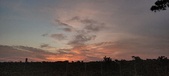 Enlarge photo 533