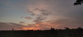 Enlarge photo 534