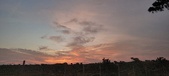 Enlarge photo 535