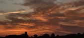 Enlarge photo 537