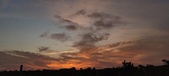 Enlarge photo 542