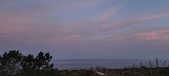 Enlarge photo 546