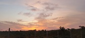 Enlarge photo 549