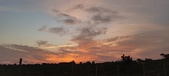 Enlarge photo 550