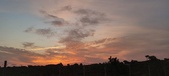 Enlarge photo 551