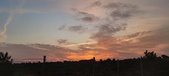 Enlarge photo 553