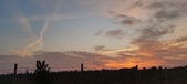 Enlarge photo 554