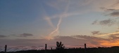 Enlarge photo 556