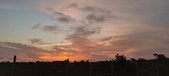 Enlarge photo 557
