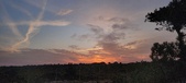 Enlarge photo 559