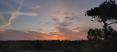 Enlarge photo 560