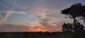 Enlarge photo 561