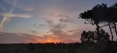 Enlarge photo 562